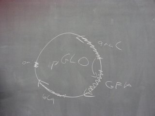 IMG_3219.jpg