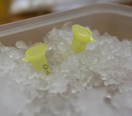 img_7043.jpg