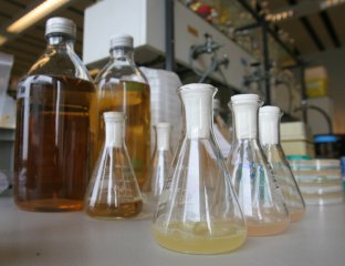 img_7811.jpg