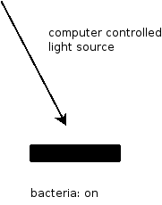 pixel ‘on’ light